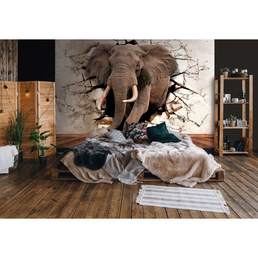 Fototapete-VLIES-ELEFANT-(C14437)-Tapete-Nach-Mass-Tier Wand Kinder-Spielzimmer XXL