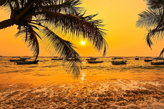 Fototapete Palme (3372) - Vliestapete - Strand Natur Sonnenuntergang Himmel XXL
