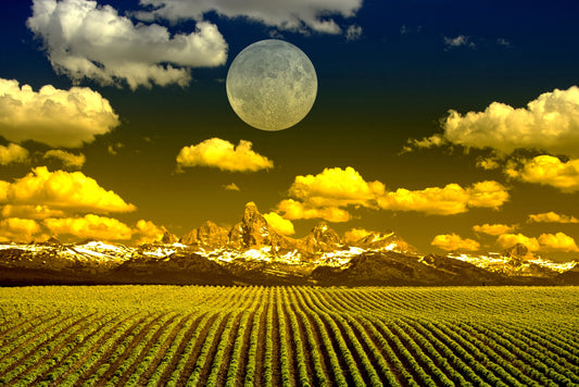 Fototapete VLIES-MOND FELD-(4030S)-Himmel Ernte Hof Landschaft XXL