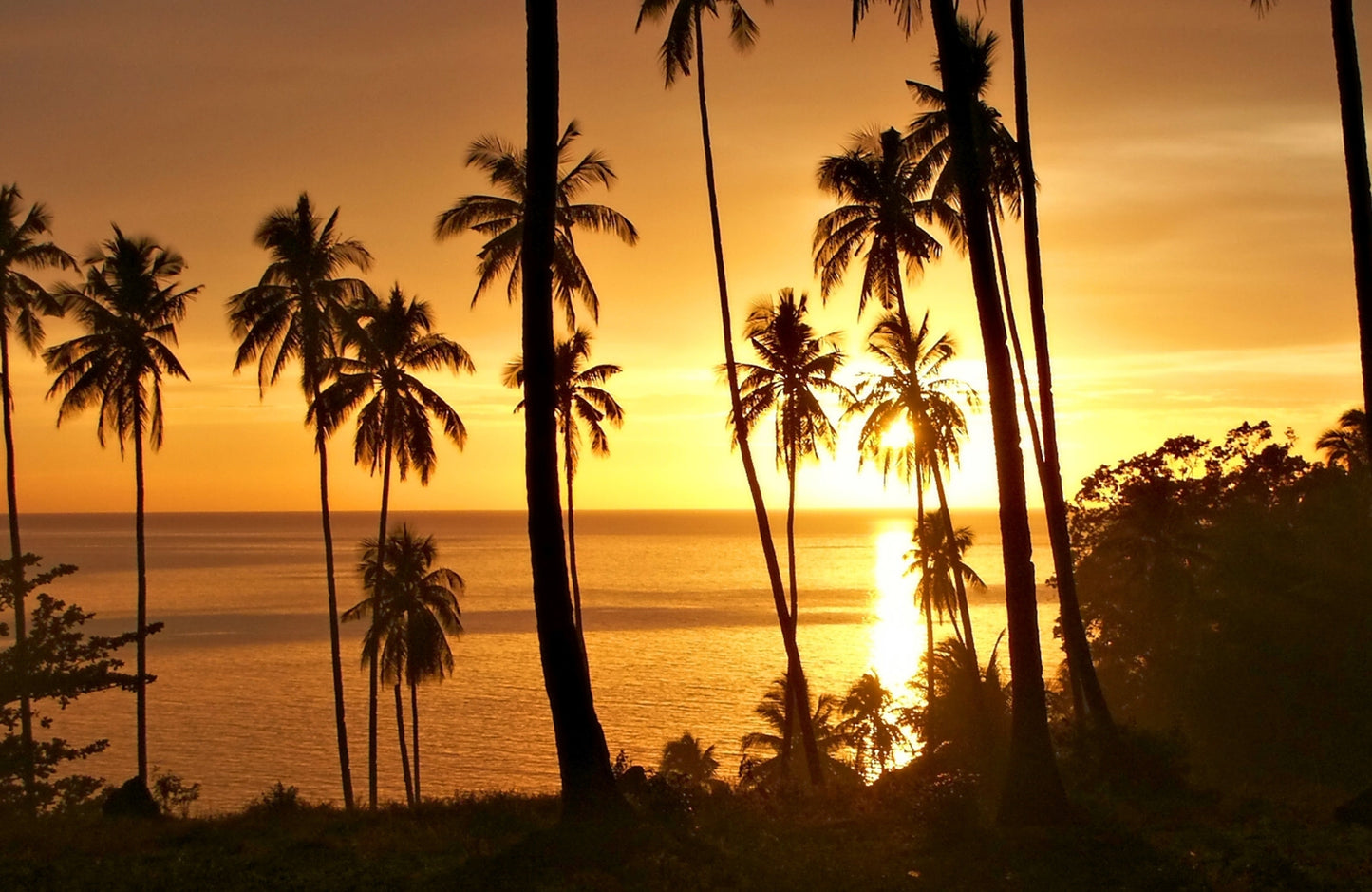 Photo Wall Mural-PALM BEACH-(4466)-NON WOVEN-Wallpaper-Panorama Sunset Sea XXL