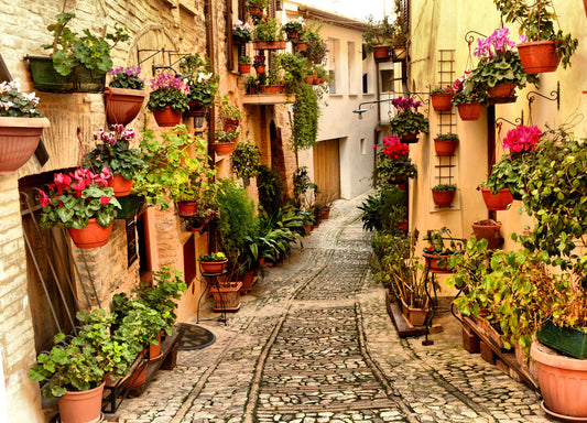 Photo Wall Mural-(541)-OLDTOWN-NON WOVEN-Flower-Pot Alley Wallpaper Panorama XXL