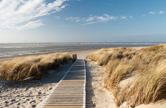 Fototapete VLIES-SANDSTRAND-(5781S)-Dune Gras Tapete Brücke Strähne XXL