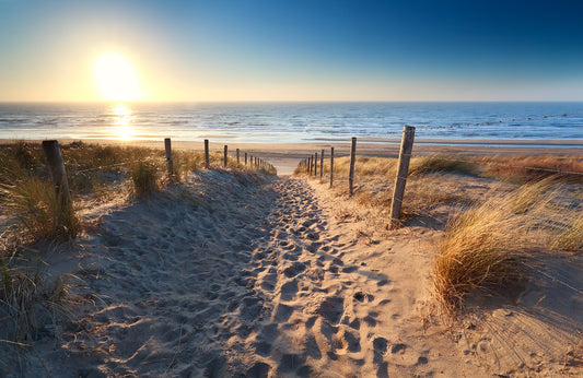 Fototapete VLIES-SANDSTRAND-(5785S)-Dune Tapete Gras Strähne XXL