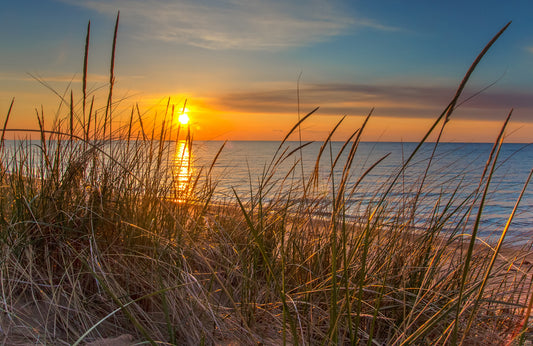 Fototapete VLIES-SANDSTRAND-(5786S)-Dune Tapete Gras Sonne Strähne XXL