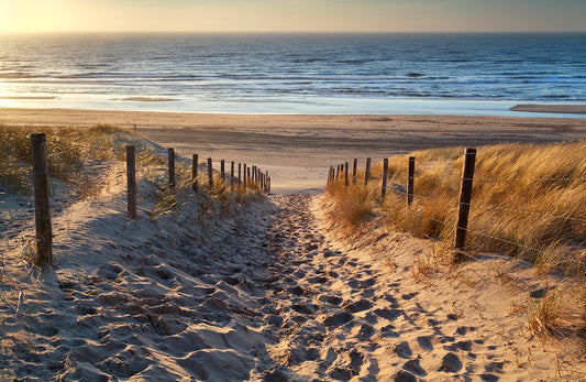 Fototapete VLIES-SANDSTRAND-(5787S)-Dune Tapete Gras Ozean Strähne XXL