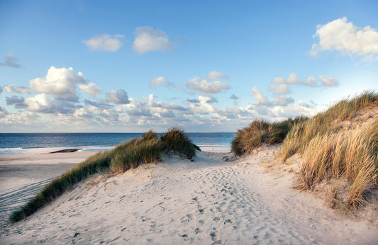 Fototapete VLIES-SANDSTRAND-(5788S)-Dune Tapete Gras Brücke Strähne XXL