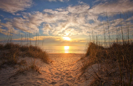 Fototapete VLIES-SANDSTRAND-(5789S)-Dune Tapete Gras Sonne Strähne XXL