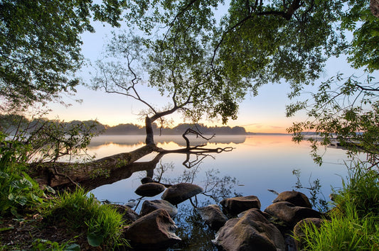 Photo Art Wall Mural-(6325)-MY LAKE-NON WOVEN-Wallpaper-Real Nature Tree Sun XXL