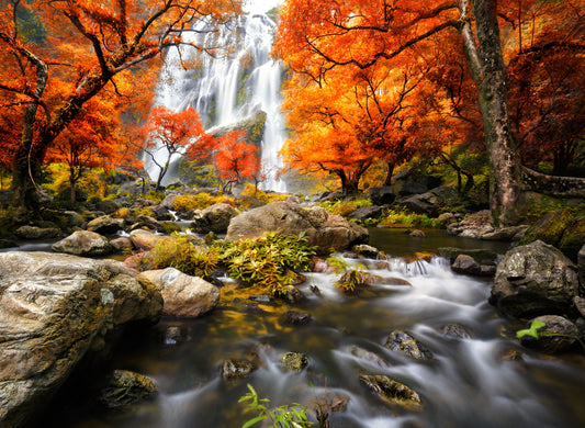Photo Wall Mural-WATERFALL-(634V)-NON WOVEN-Nature-Autumn Wallpaper Panorama XXL