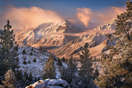 Photo Art Wall Mural-SNOW MOUNTAIN VIEW-(6470)-NON WOVEN-Wallpaper-Sky Forest XXL