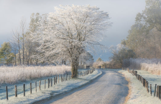 Photo Art Wall Mural-WINTER FARM ROAD-(6501)-NON WOVEN-Wallpaper-Nature Sky XXL