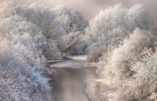 Photo Art Wall Mural-WINTER LAKE-(6508)-NON WOVEN-Wallpaper-Nature Sky Sea XXL