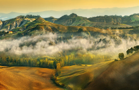Photo Art Wall Mural-WARM SCAPE-(6578)-NON WOVEN-Wallpaper-Nature Autumn Sun XXL