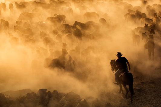 Photo Art Wall Mural-COWBOY'S HORSE'S-(6639)-NON WOVEN-Wallpaper-Dust Nature XXL