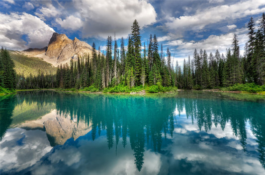 Photo Art Wall Mural-ALP LAKE-(6648)-NON WOVEN-Wallpaper-Sky Nature Forest XXL