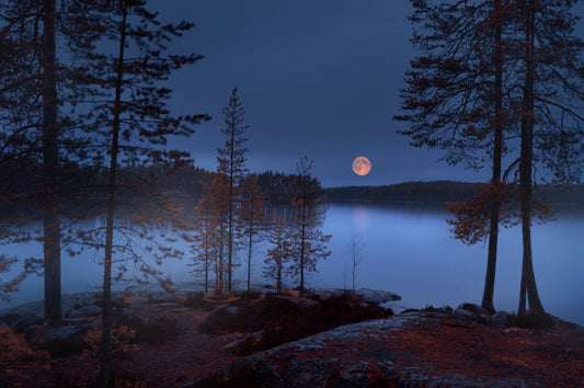 Photo Wall Mural-(6833)-NIGHT LAKE FOREST-NON WOVEN-Wallpaper-Trees Sun Moon XXL