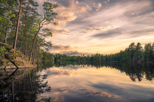 Photo Wall Mural-(6837)-FOREST LAKE-NON WOVEN-Wallpaper-Nature No City XXL