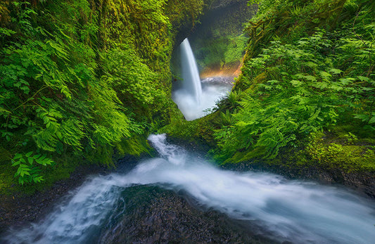 Photo Wall Mural-WATERFALL TROPICAL-(8178)-NON WOVEN-Wallpaper-Jungel Forest XXLy)