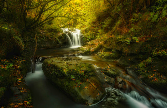 Fototapete-VLIES-WALD-(8212S)-Wand-Tapete-Nach-Maß-Waldfläche Wasserstrom XXL