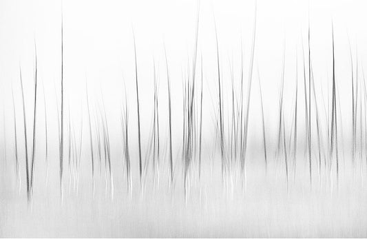 Fototapete-VLIES-GRAS GLATT-(8226S)-Wand-Tapete-Nach-Maß-Wiese Tone S und W XXL